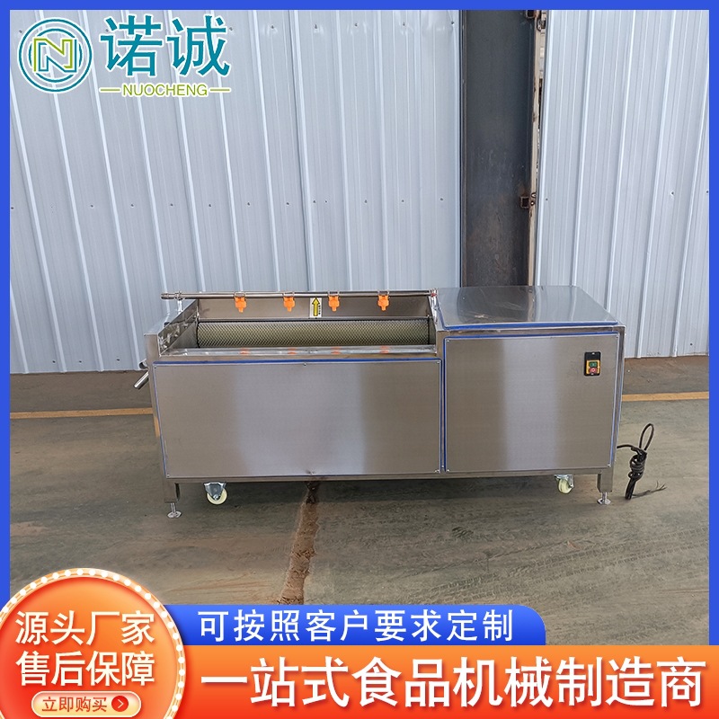 供应生蚝海虹去泥清洗机 芋头毛辊磨皮去泥设备 马铃薯脱皮机