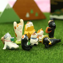 Dcole旅猫踏青登山三猫猫咪摆拍道具树脂工艺品摆件批发
