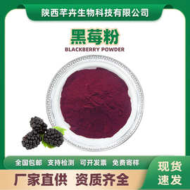 黑莓粉水溶黑莓汁粉黑莓果汁粉黑莓浓缩粉食品饮料1kg现货包邮