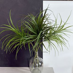 ���Wins�L��Ҿӷ����֧�Ѳ��҃ȷ���ֲ������JȔ���[�ݼٻ�