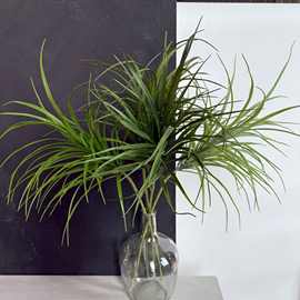 北欧ins风格家居仿真单支蒲草室内仿真植物墙仿真芦苇洋葱草假花