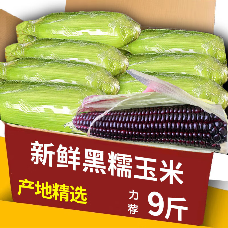 Fresh Black Glutinous Corn 10lb Box - freshly picked in-season sweet waxy corn, meal replacement vegetable, free shipping