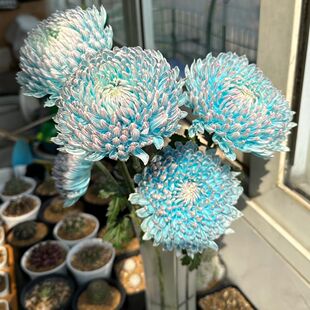 ĵ�����໨��ˮ���r�л��͏d�k�����L�����r���ɾò���