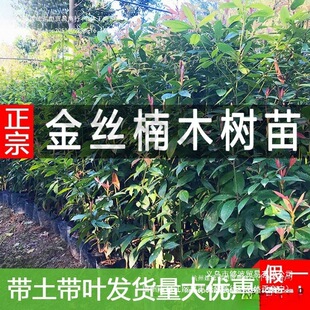 ���F��骳�������Ĵ�С�~��z�ľһ���Gľ�޽������纣�ω�����