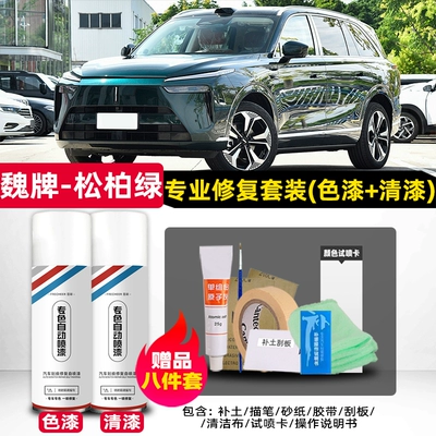 Weipai Lanshan car paint, self-applied spray Avtomobil boya qələmləri - weipai-lanshan-pine-green-original-factory-self-applied-car-paint-kit-4s