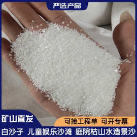 白沙子雪花白沙草坪沙厂家批发白色石英砂人造沙滩儿童娱乐沙池沙