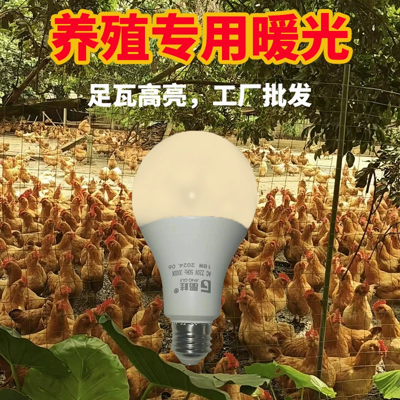 LED-лампа, сверхяркая лампа, свет, защита глаз, с резьбовым патроном