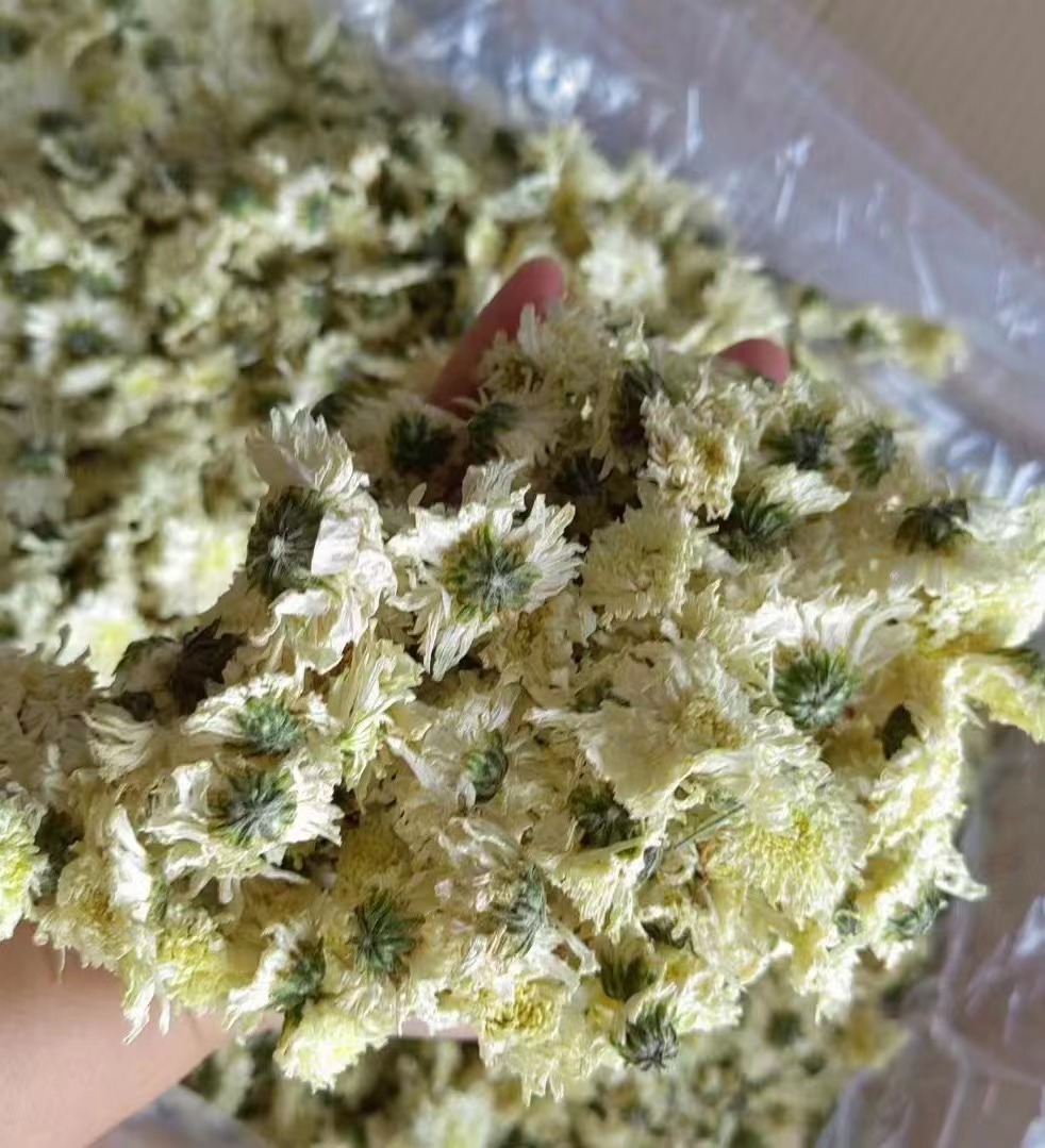 新货七月菊散装黄山贡菊500克白菊花花草茶菊花茶产地直供