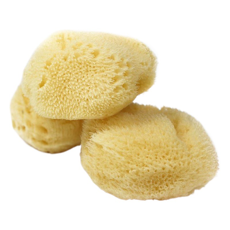 Griego natural esponja arte esponja acuarela Mediterráneo algodón acuarela textura herramienta 1,5-2,5 pulgadas