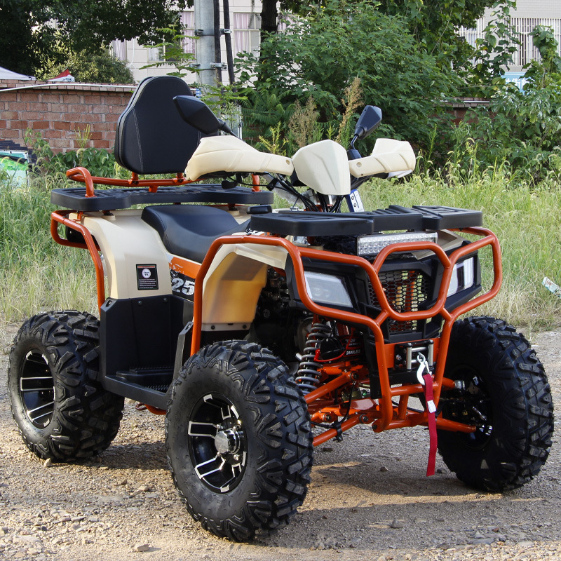 Automatic bike