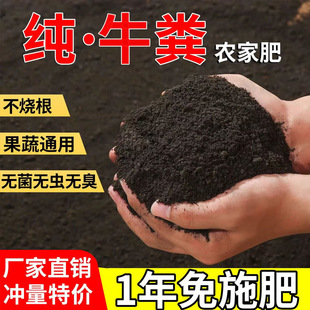 Pure Dry Cow Manure Organic Fertilizer Universal Cow Manure Nutrient Soil for Growing Flowers and Vegetables Farmyard Fertilizer Household Pure Natural Cow Manure Fertilizer X