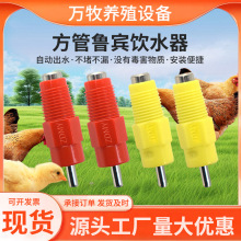 鸡用饮水器自动式水嘴 鲁宾饮水器不锈钢饮水器配件钢柱水嘴