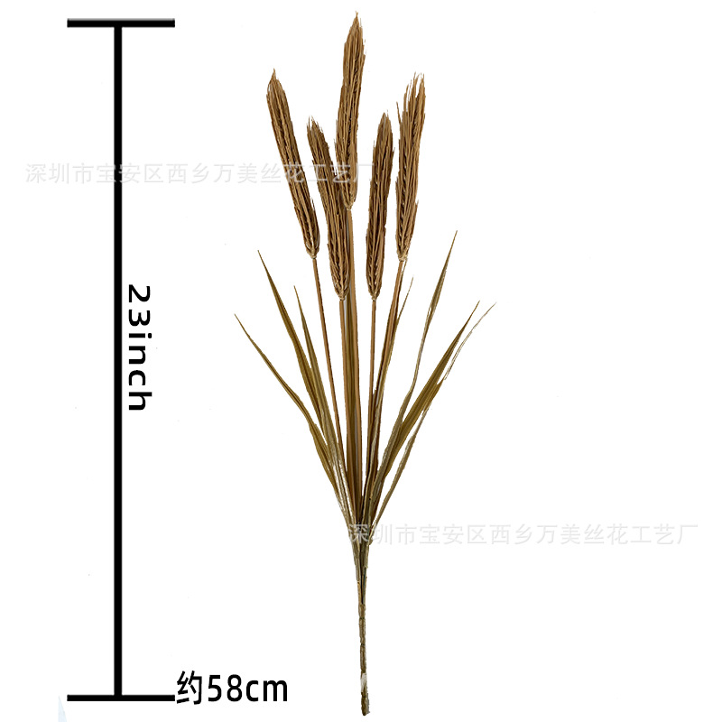 짧은 보리 5갈래( 58cm ) 건조 색상