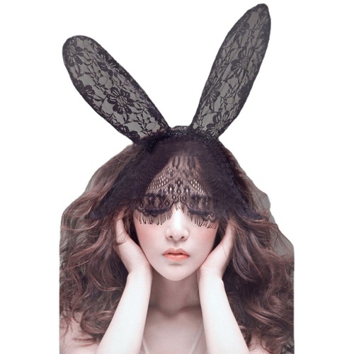 Lingerie, sexual interests, uniforms, temptation, accessories, hairbands, lace, veils, ballroom, blindfolds, rabbit ears, queen masks
