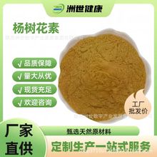 杨树花素95% 杨树花素V6 动物品 杨树花提取物1kg/袋厂家现货批发