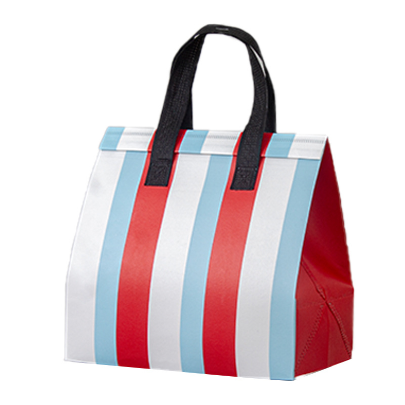 3색 부직포 보온백, 21*26*11, 폴리프로필렌(pp)