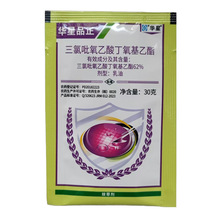 �A��Ʒ�� �����������ᶡ�������� 62% ɭ�� ��ľ ��С����~�s��