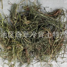 角茴香,【别名】,山黄连,批发中药材角茴香,大货草药角茴香