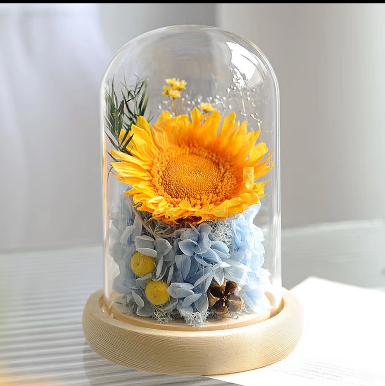 1 girasol azul claro