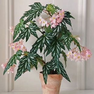 �V�~�ﺣ�İױ���ʿɽ�Ꭷֲ���r���Gֲ�����҃ȿ͏d���@