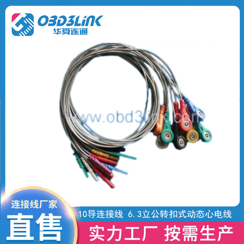 10导连接线 6.3立公转扣式动态心电线 6.3单公体表探头耐高温