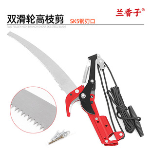 ��֦�����^SK5��֦��޼���֦������s�@�ָ߿���p��݆�߿ռ�