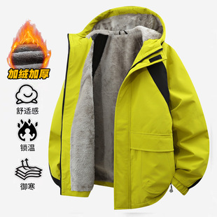 2025�ӽq�Bñ�A����ʿ�Ӻ�ů����ɽϵ��ˮ���L���L��������