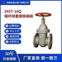 ��ɽ��Z45T-16Q���m�l�y ��ī�T�F�ք������l�y ����ˮ�l�yDN100