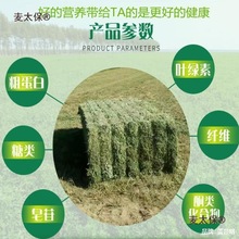 ������һ��80����a��ޣ�݃��|ţ�������ţ��ɽ����������̫��