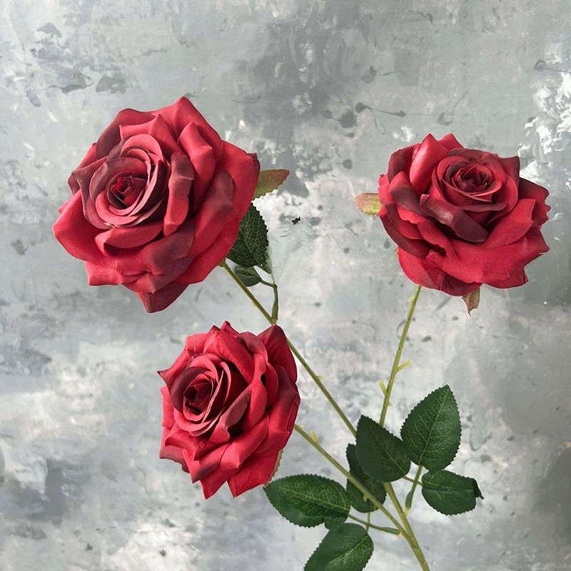 3헤드 다이아몬드 로즈-버건디