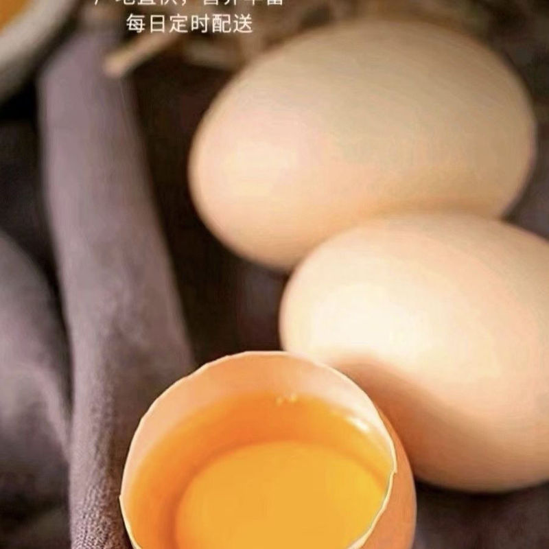南芋ミルクティーレイヤーケーキ 800g 寮の誕生日は美味しくない、いつでも返品可能、卸売|undefined