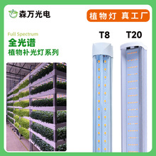 ɭ�fֲ�����L��ȫ���VT8T20��̫��҃ȼ��û��ܹ�����ɫ�����a��