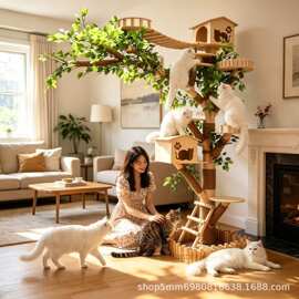 猫咪猫爬架全套四季通用小户型大猫专用耐磨不掉屑网红攀爬架包邮