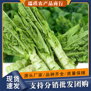 �r���ԷN���n�S���n��S�⮔���r�����r�Gɫ�峴ȥ�~�n�S�U�߲�