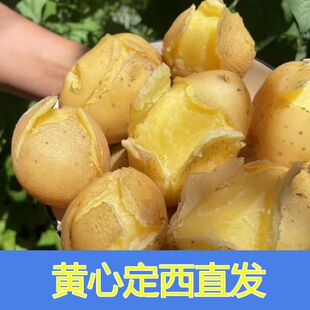 ���C���������R����S�Ĵ�Ƥ����ɳŴ������������F��