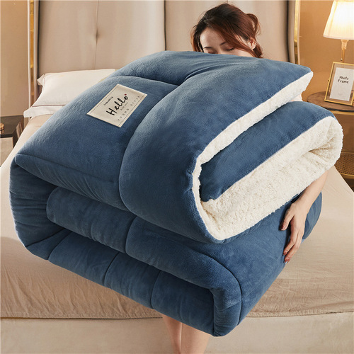 Winter Thick Lamb Wool Fleece Winter Blanket Milk Fleece Blanket Insert Single Size Double Size Bedding Student Warm Cotton Pad Blanket
