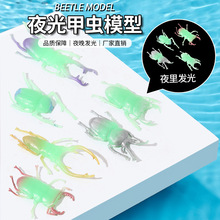 跨境仿真动物昆虫模型夜光浮水甲虫TPR新奇创意虫子儿童玩具模型