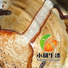 �Ĵ������Ȼ��������������Ž��Ž���ľ��ľ��