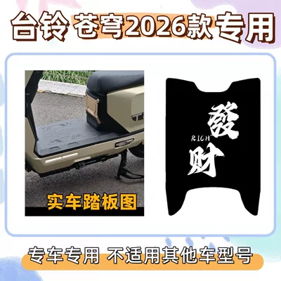 Electric vehicle foot mat: 2026 Model Special Foot