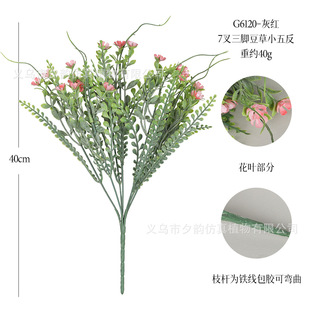 �羳���ݻ��������Ꭷ�۷��滨����ͥԺ�Ҿ��bƵ��Y�ٻ��[��