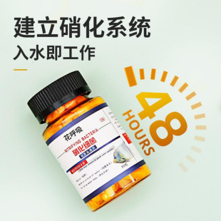 Ornamental Fish universal nitrified bacteria capsule fish tank deodorant purification water quality create air cylinder degradation ammonia nitrogen
