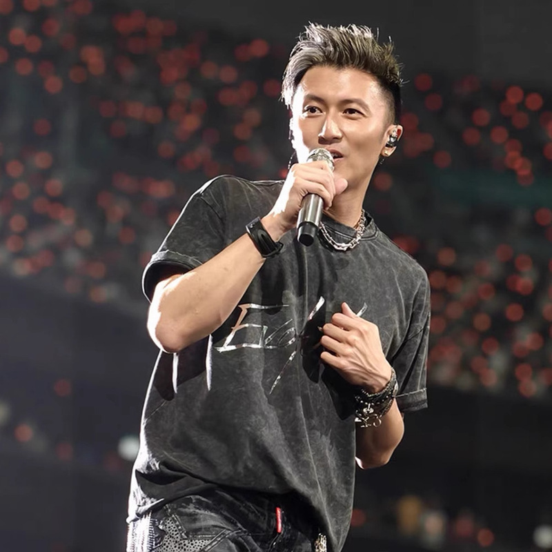 謝霆峰進化コンサート周辺同風半袖Tシャツメンズ2025新作ウォッシュ加工ヘビーウェイト服トレンド|undefined