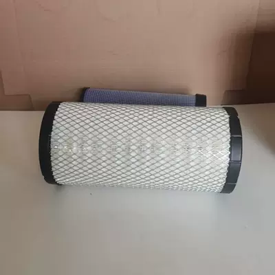Manufacturer's In-Stock Af25292 Air Air filter