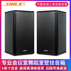 组合音响;专业音响;专业话筒
