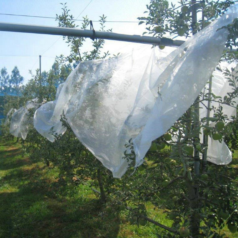 Malla agrícola de protección solar sombrilla neta aislamiento blanco al aire libre invernadero sombra tela sombrilla neta al por mayor