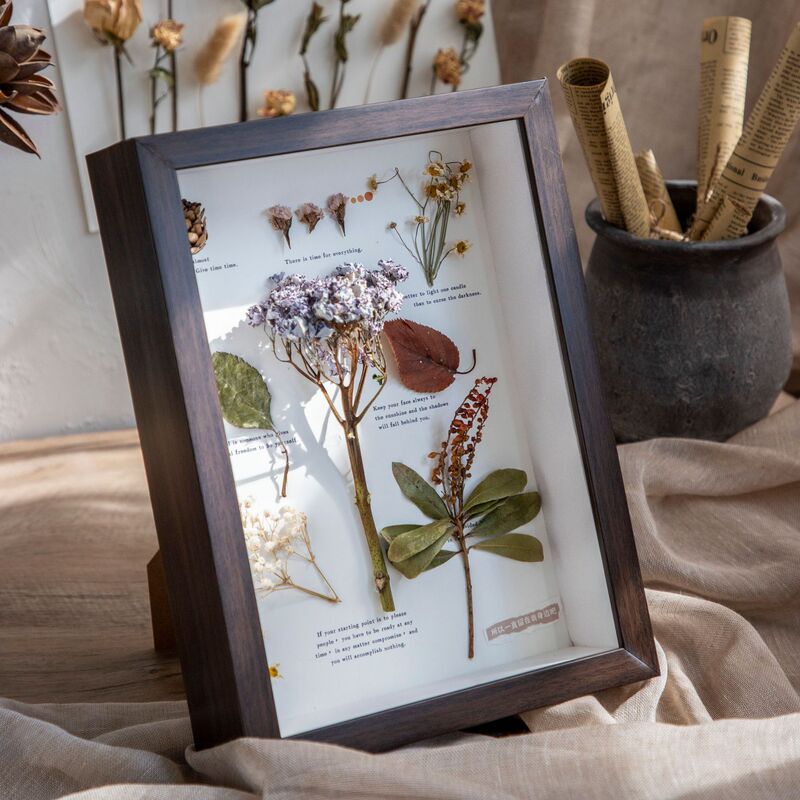 Dried Flower Photo Frame Display Frame Mounting Three-Dimensional Hollow Specimen Frame 8-Inch 10 DIY Handmade Butterfly Insect Clay
