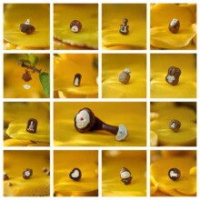 ӡ����ɽ̴���Ƕ�ͪw������� �Ɍ��� �\�� DIY�����ִ����