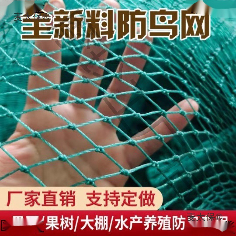 防鸟用网果树樱桃葡萄大棚果园农用防鸟网鱼塘养殖天网尼龙麦太保