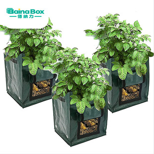 �羳��Ʒ�R����Nֲ�������߲���������⻨�@�Nֲ��Planting bag