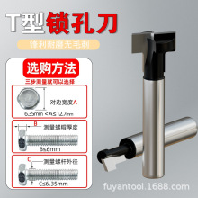 ľ��㊵��i�׵��_�۵��ݽz��㊵�����׵���򵶵�̵�T�͵�